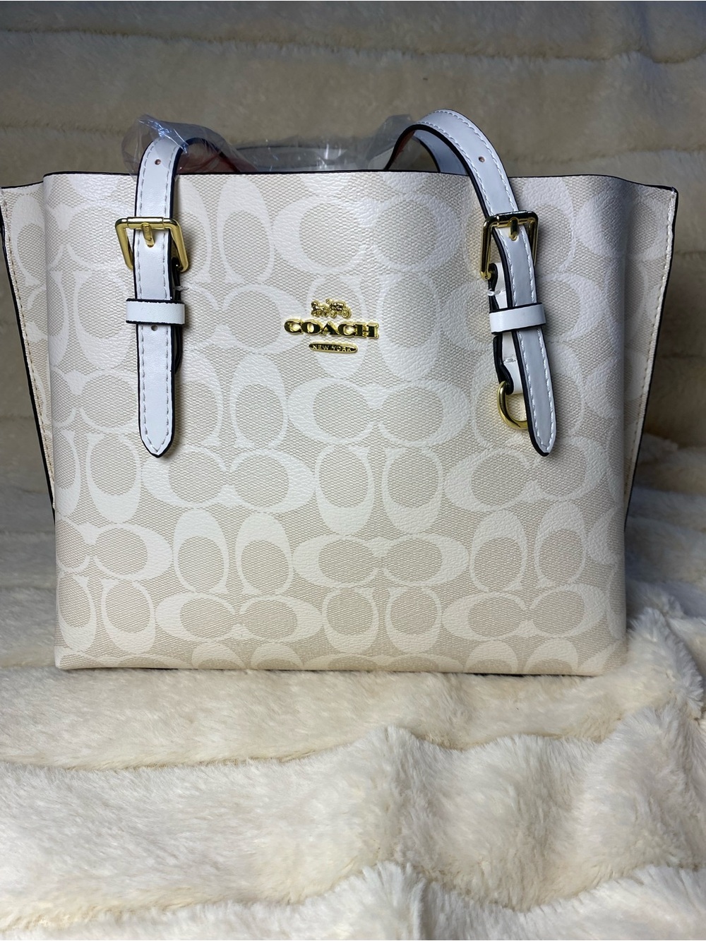 Coach Signature Print Mini Tote in Chalk